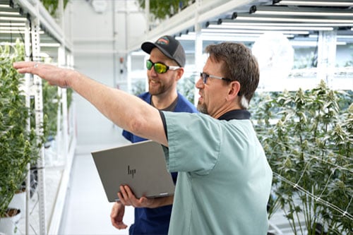 Energy-Rebates-LED-Grow-Lights