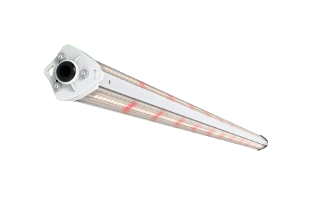 Intercanopy Lighting Series