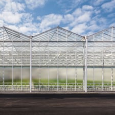 Cannabis Facility Design for Long-Term Scalability