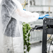 Strategies for Reducing Cannabis Cultivation Expenses