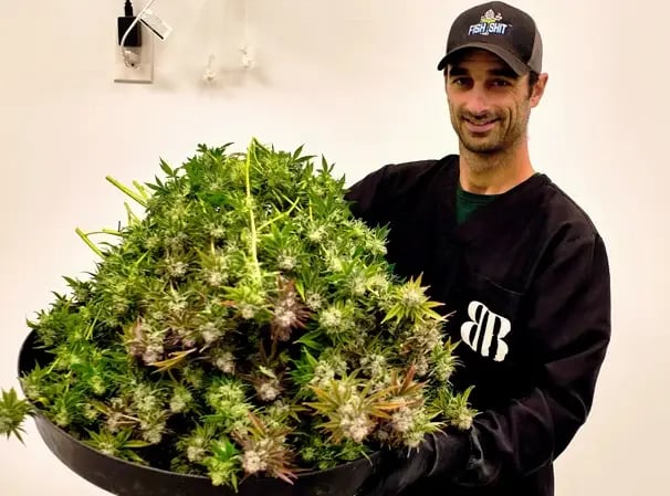 Bonsai-Buds-Head-Grower