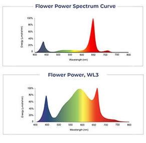 Under-Canopy-Lighting-Dimensions