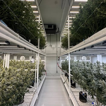 Advanced-LED-Lighting-Solutions