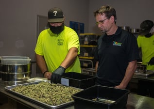 Earning Large Energy Rebates with LED Grow Lights