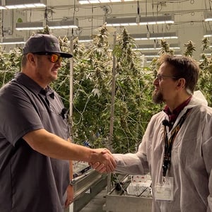 Energy-Rebates-for-LED-Grow-Lights