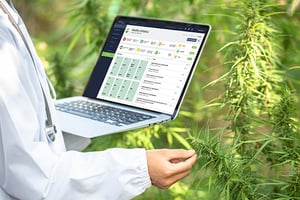 Crop-Steering-Cannabis-with-GrowHub