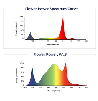 Interlight-Spectrums