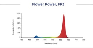 Interlighting-Spectrum-TSRgrow