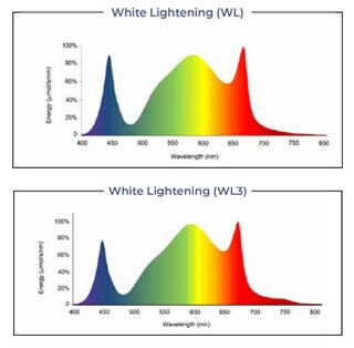 TG1000-Linear-Grow-Light-Spectrums