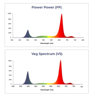 TG100-HVR Lighting Spectrum