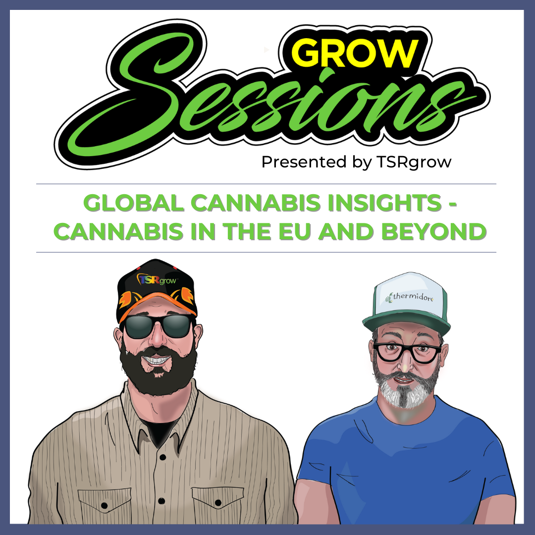 Dave Barton, Grow Sessions