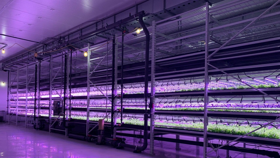 Aqua Verti Urban Farms