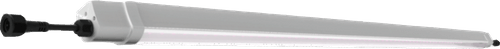 TG-30-p-500