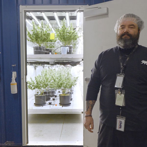 cannabis cultivation financing options