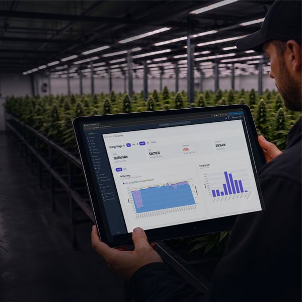 5 Ways to Reduce Energy Costs in Cannabis Cultivation Facilities