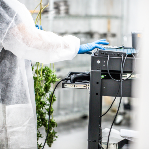 Electronic Batch Records in FDA-Regulated Cannabis Cultivation