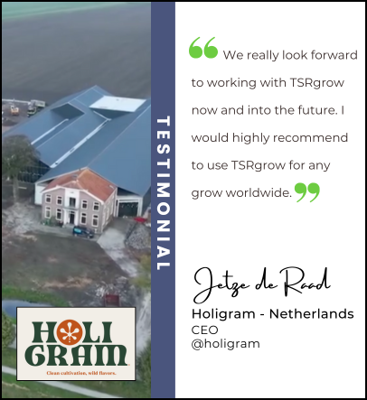 Holigram TSRgrow Testimonial