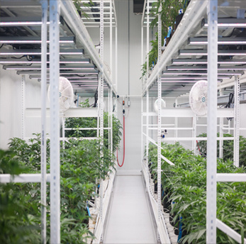 Vertical Farming TSRgrow Vertical Farming TSRgrow