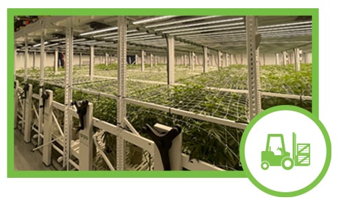 Cannabis Cultivation Equipment Cannabis Cultivation Equipment