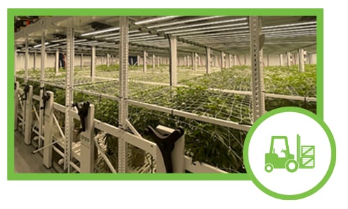 Cannabis Cultivation Equipment