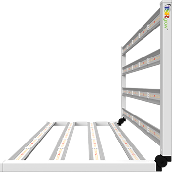 Advanced LED Lighting