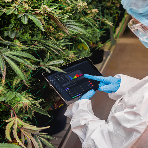 Dynamic-LED-Grow-Lights