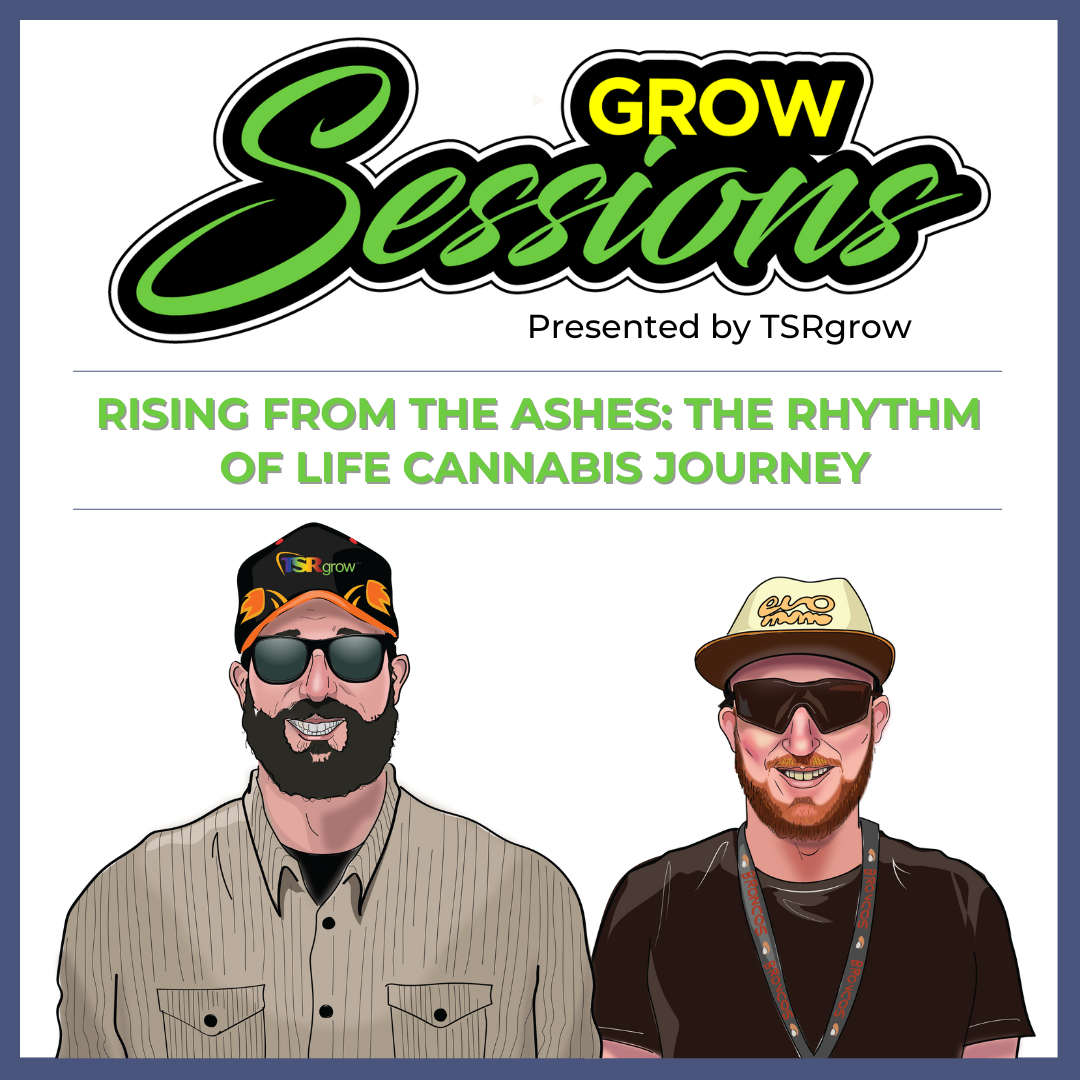 Rhythm of Life - Grow Sessions