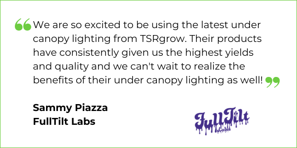 FullTilt Labs - Under Canopy Lights