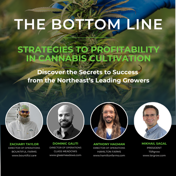 Bottom Line Strategies - NECANN NJ Bottom Line Strategies - NECANN NJ